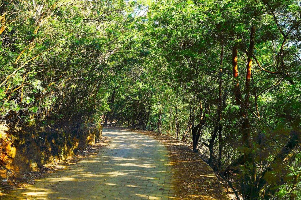 فندق Logan Camp Ooty كونور المظهر الخارجي الصورة