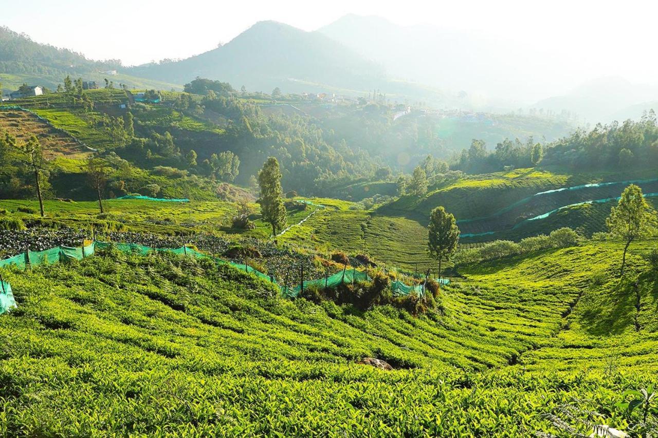 فندق Logan Camp Ooty كونور المظهر الخارجي الصورة